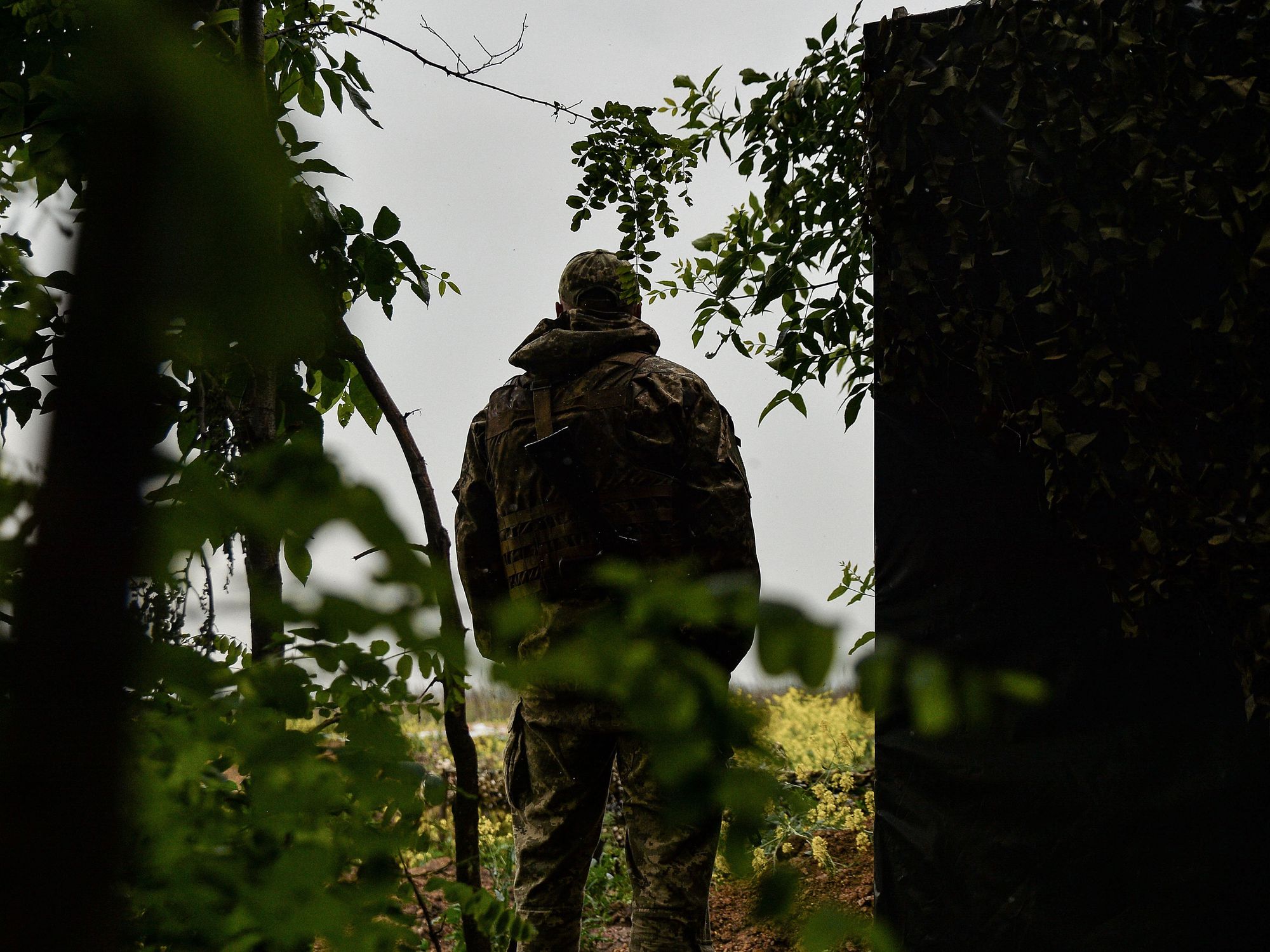 ​File photo of a Ukrainian soldier, photographed from behind, looking at a battlefield in Ukraine