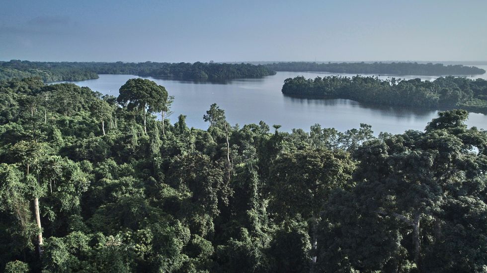 ​Image of an aerial view of a tropical forest in Gabon.