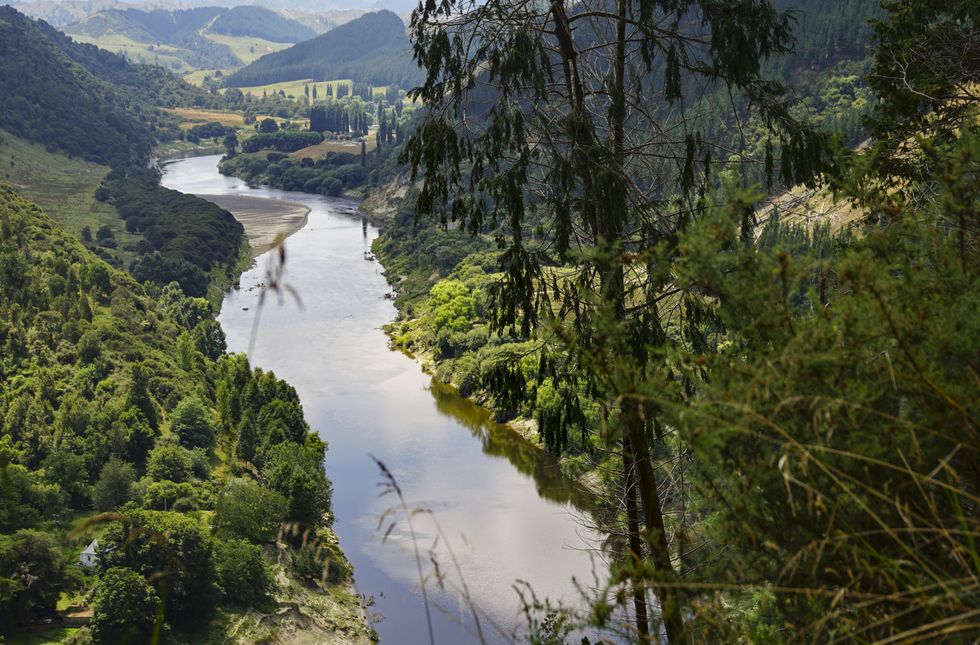 ​The Whanganui River winds itself in the interior of the North Island of New Zealand, February 4, 2016.