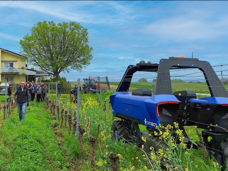 ​VitiBot makes a notable entrance in a German vineyard with the first-ever demonstration of the Bakus robot, April, 10, 2024.