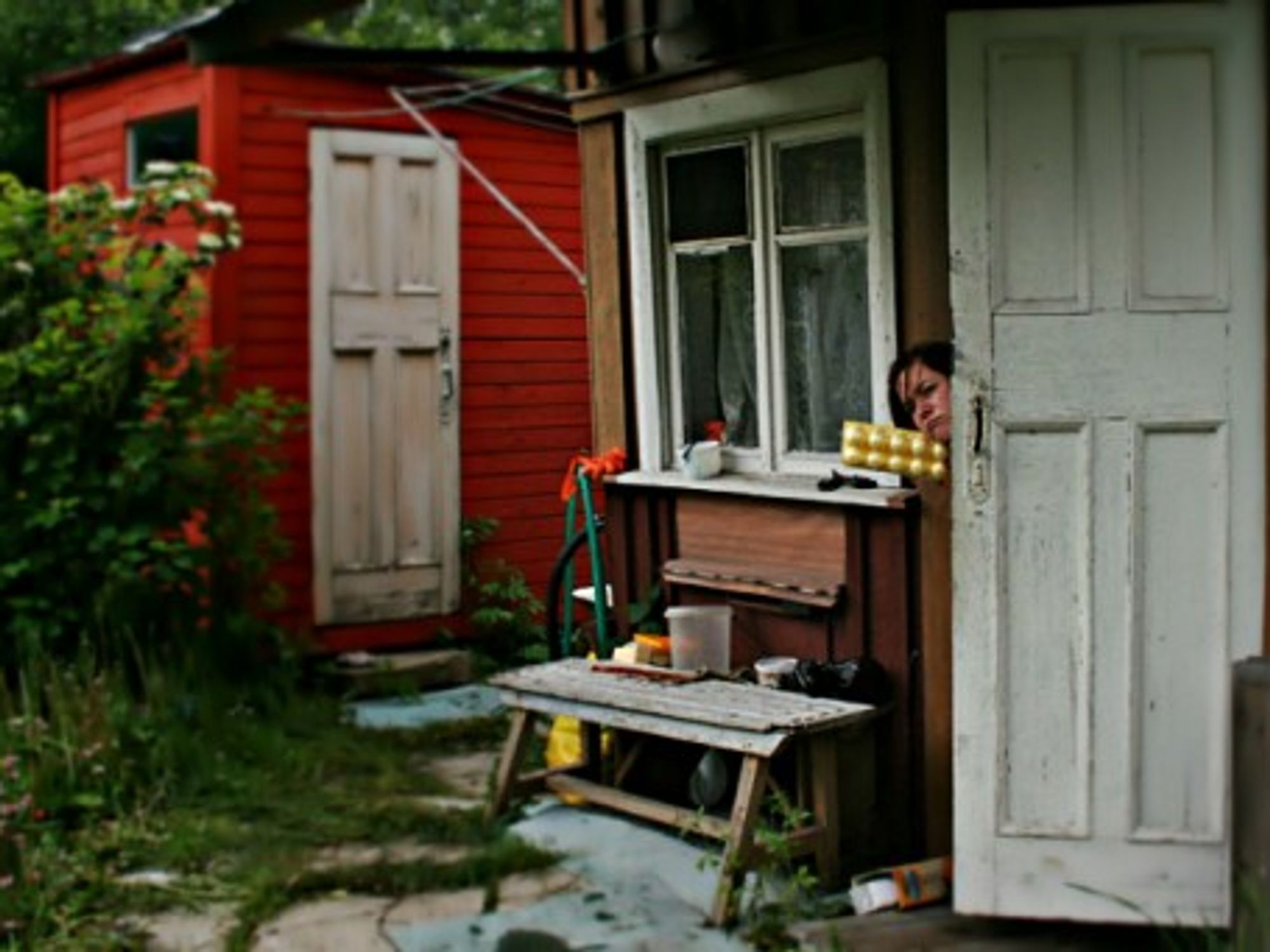 Eggs from the dacha, anyone?