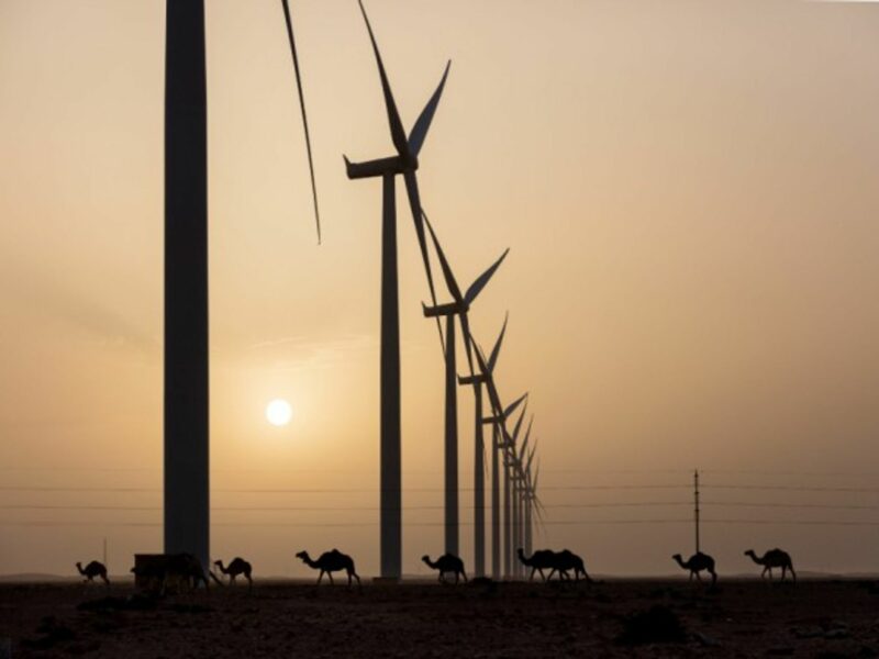 Egypt Should Stop Dragging Its Feet On Renewable Energy