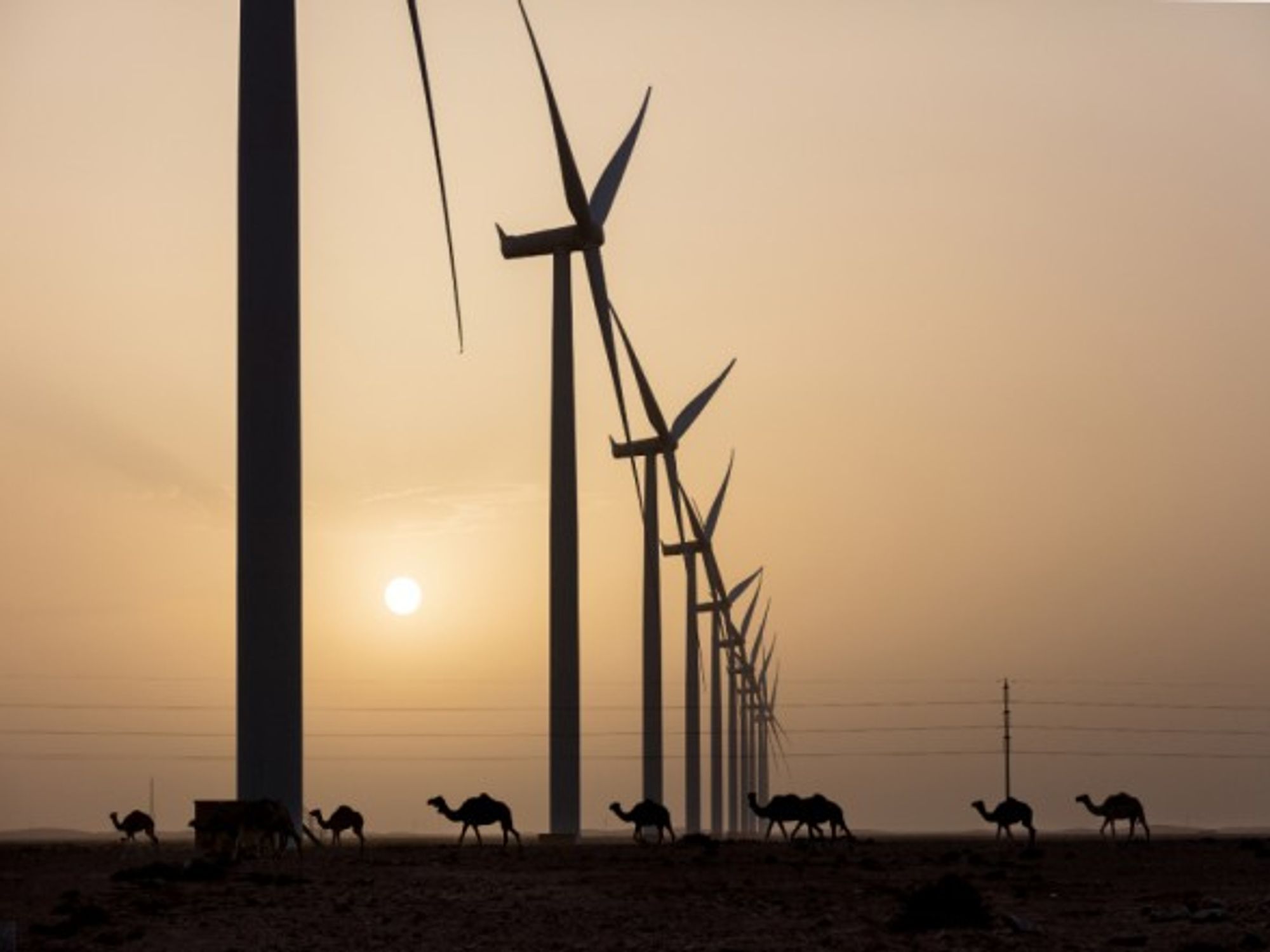 Egypt Should Stop Dragging Its Feet On Renewable Energy