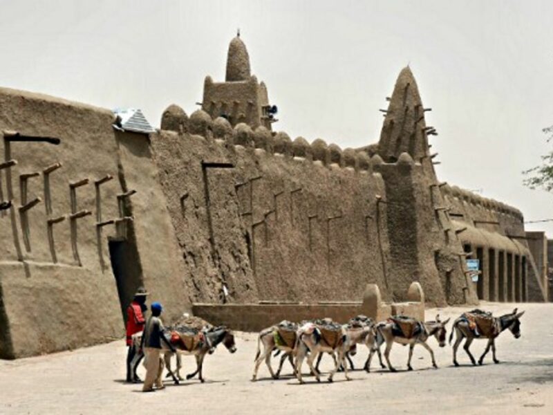 Eight donkeys walk past the mud mosque in Timbuktu, Mali, on August 4,2007.