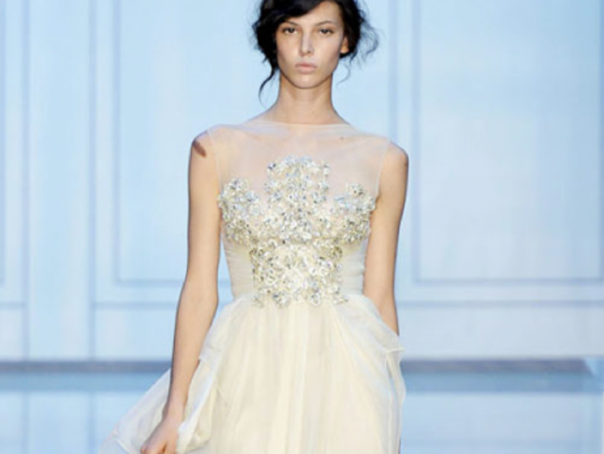 Elie Saab Fall 2011 Couture (Burrs and Berries)