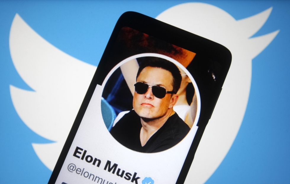 Elon Musk's Twitter profile.
