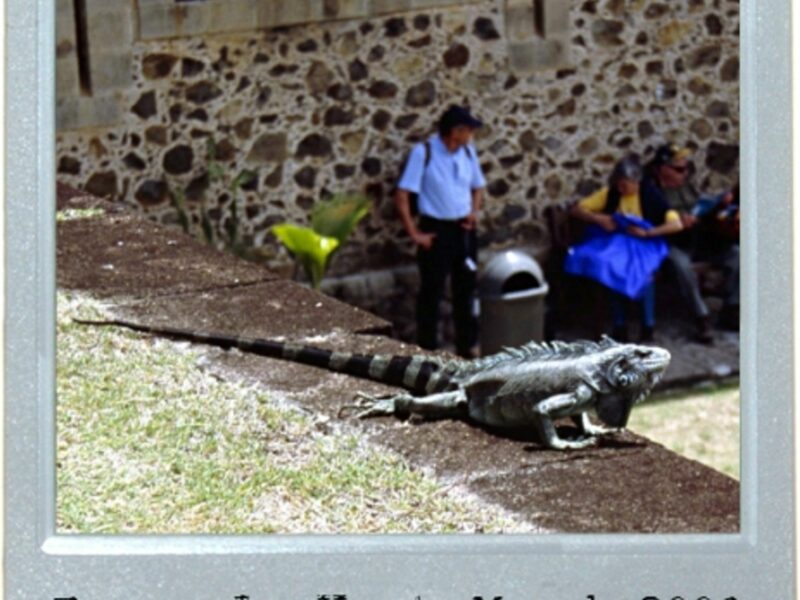 Endangered Symbol