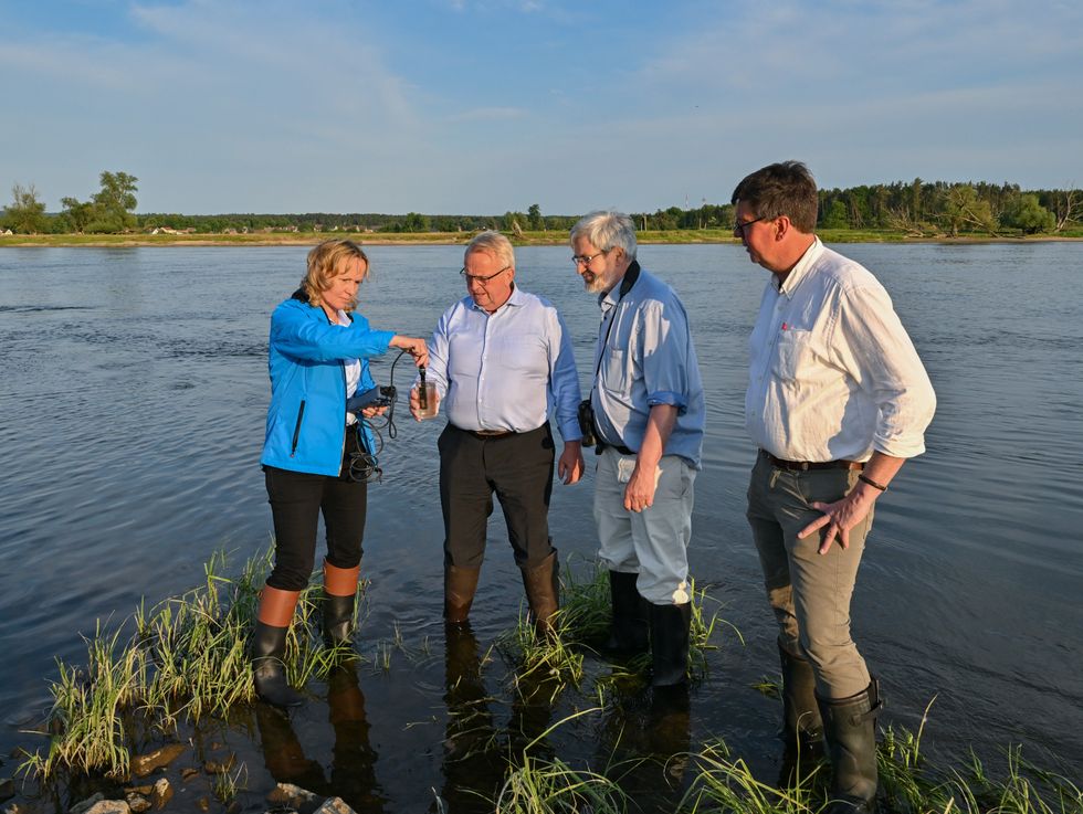 Environment Ministers Steffi Lemke, Till Backhaus, Axel Vogel and the Head of Lower Oder Valley National Park Dirk Treichel stand in the river Oder.