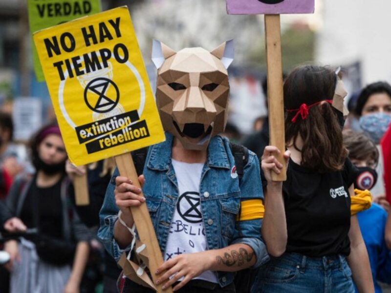 Environmental organizations protesting in Buenos Aires