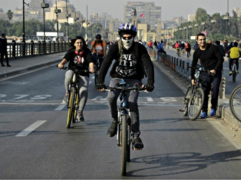 Environmental problems and solutions in Cairo