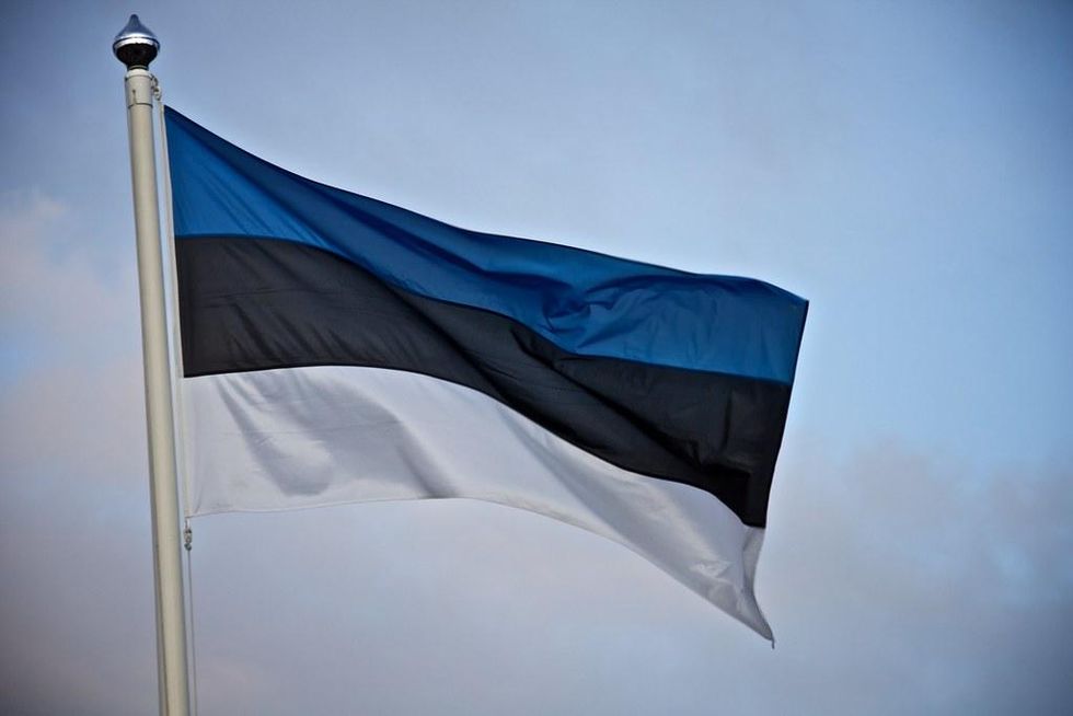 Estonian flag