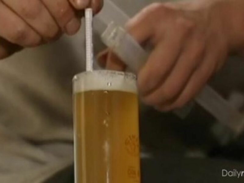 European Suds Study: A Beer A Day Keeps The Doctor Away