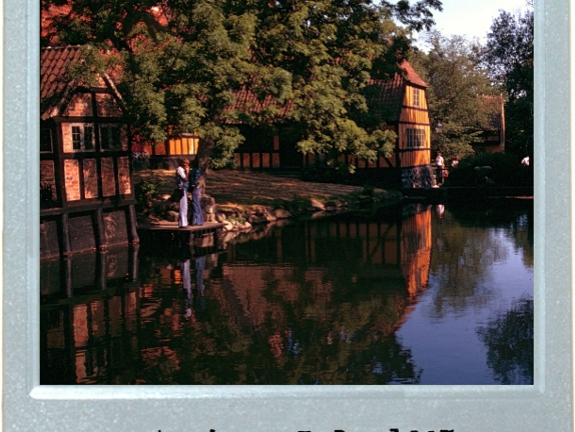 European Timber