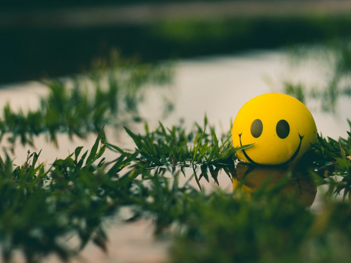 End-Of-Year Notes: Our Eternal Hunt For Optimism