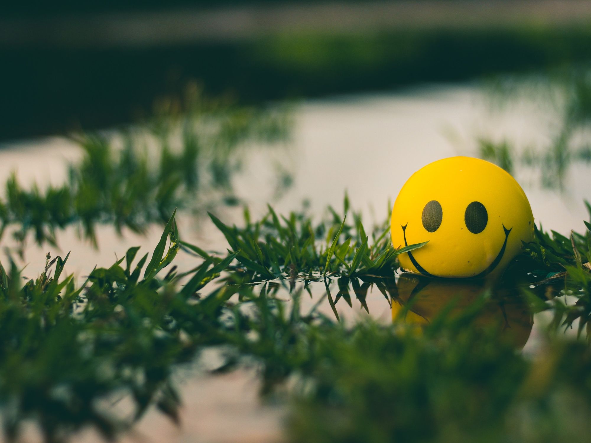 End-Of-Year Notes: Our Eternal Hunt For Optimism