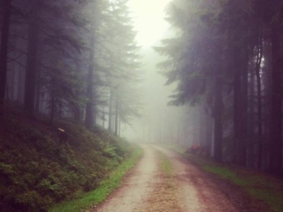 Exploring the Black Forest in southwestern Germany