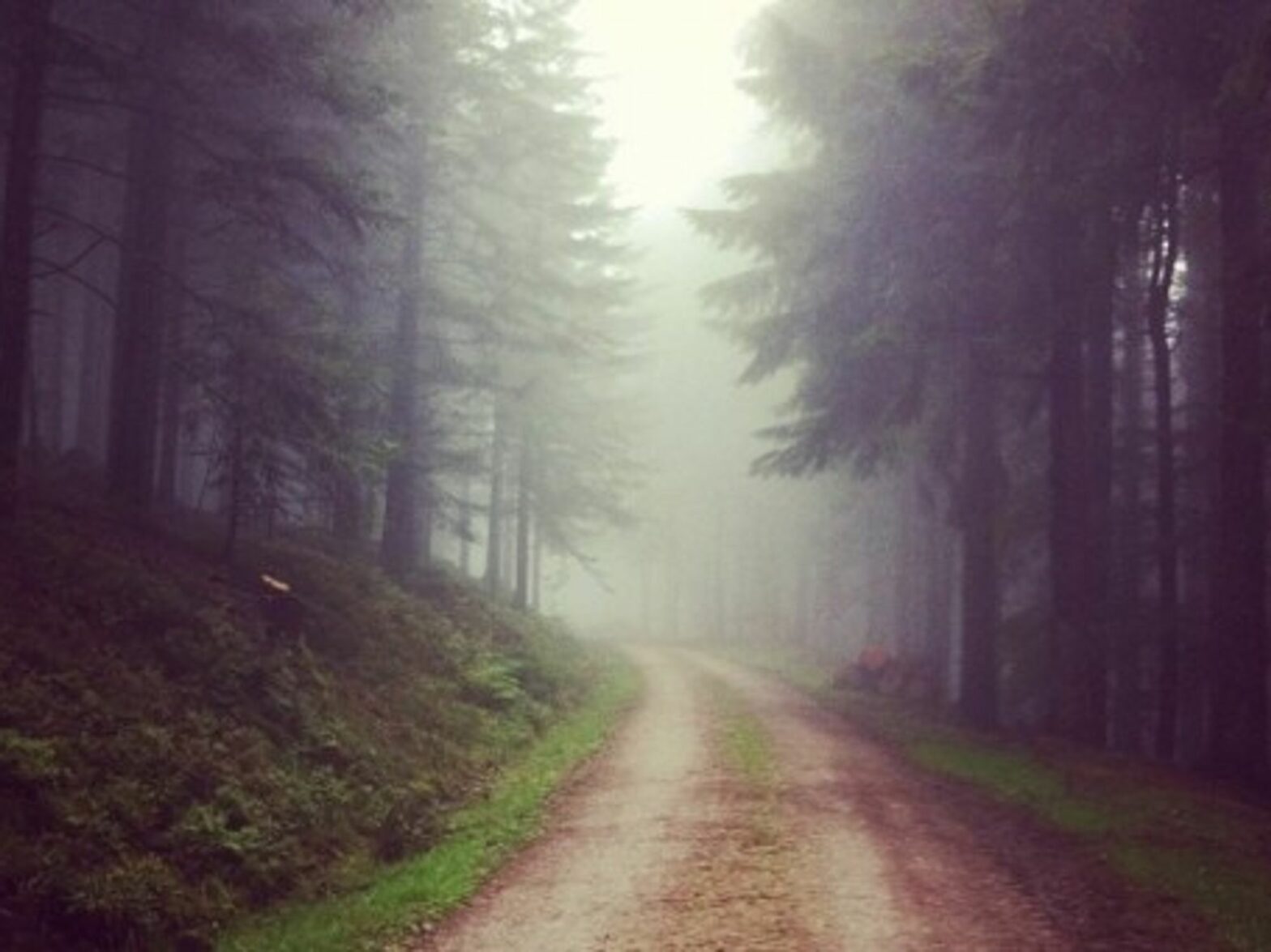 Exploring the Black Forest in southwestern Germany