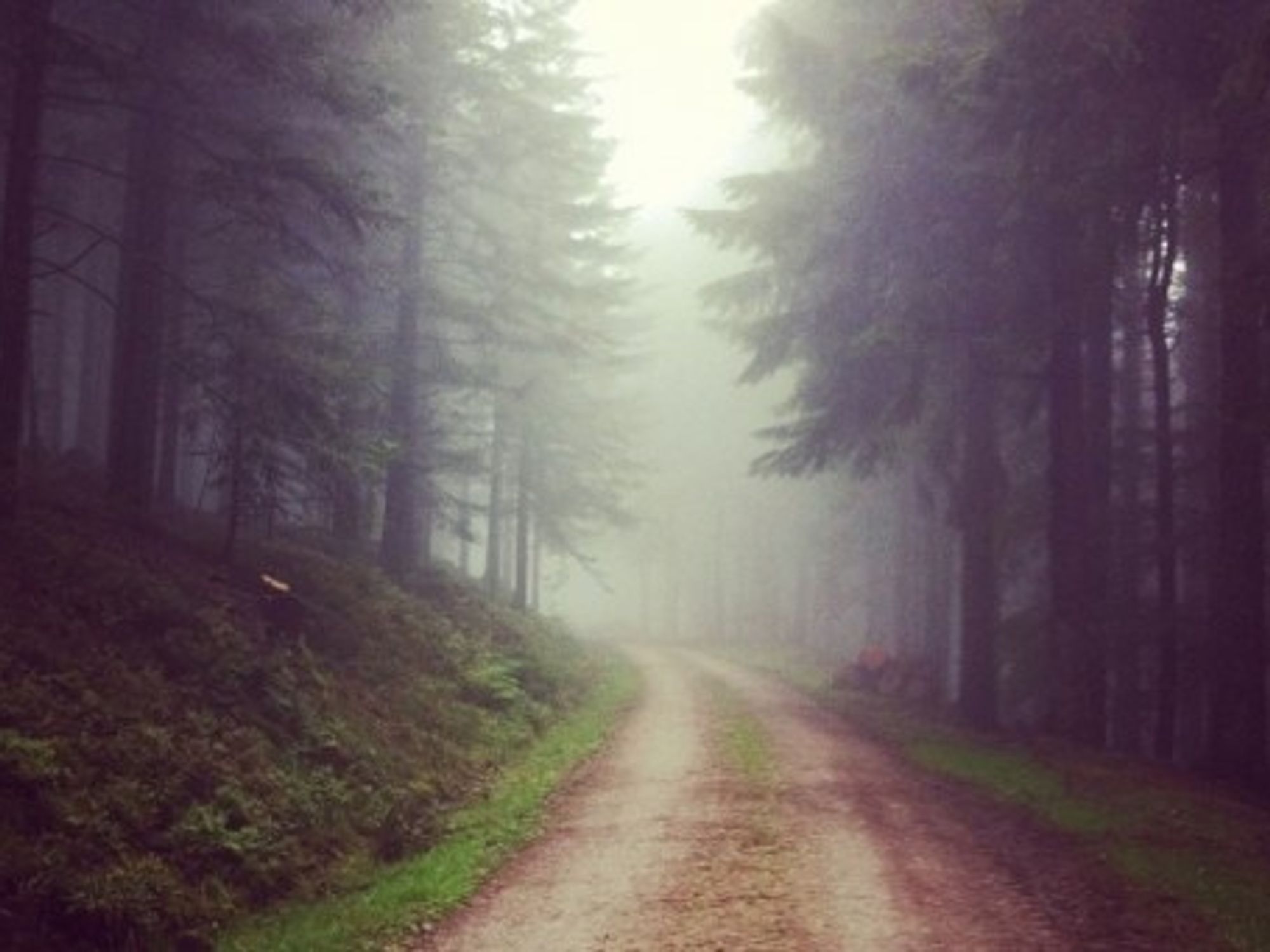 Exploring the Black Forest in southwestern Germany