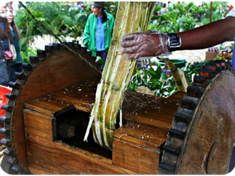Extracting sugar cane juice in Colombia