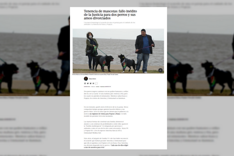 ??? Argentina Sets Precedent To Protect Pets Of Divorced Couples