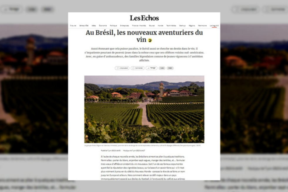 ? ?? Brazil sparks innovative new wines