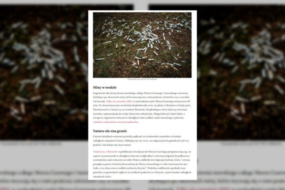 💥 🌳 CO2 emissions and toxic pollution — the ecological disasters caused by the Ukraine war
