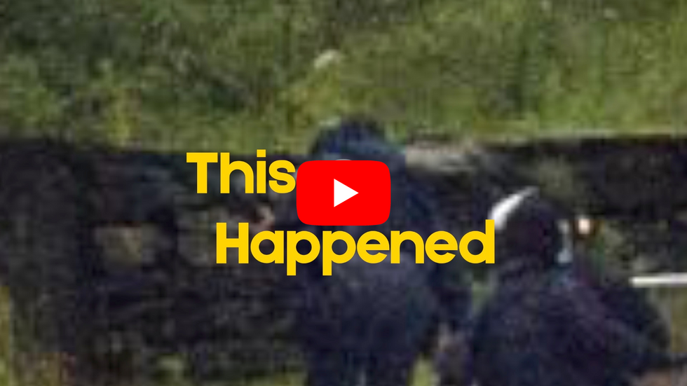 ? THIS HAPPENED VIDEO — TODAY IN HISTORY, IN ONE ICONIC PHOTO