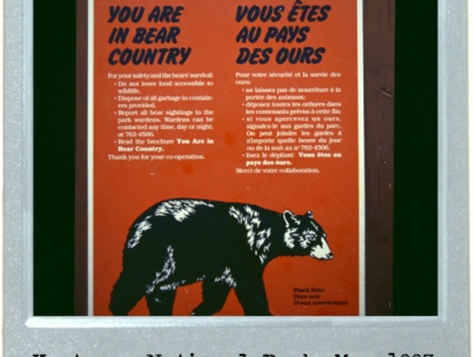 Fair Bear Warning