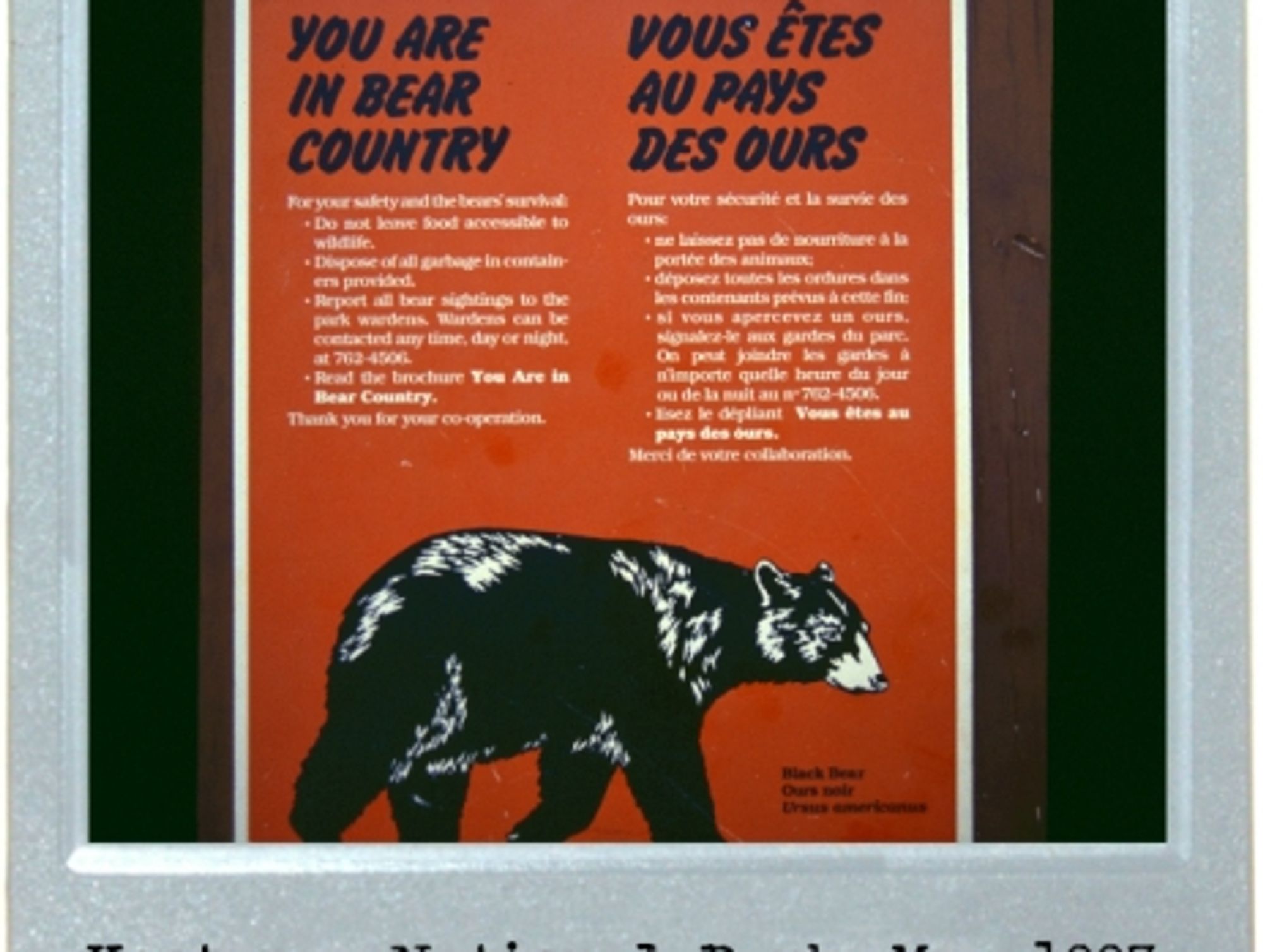 Fair Bear Warning