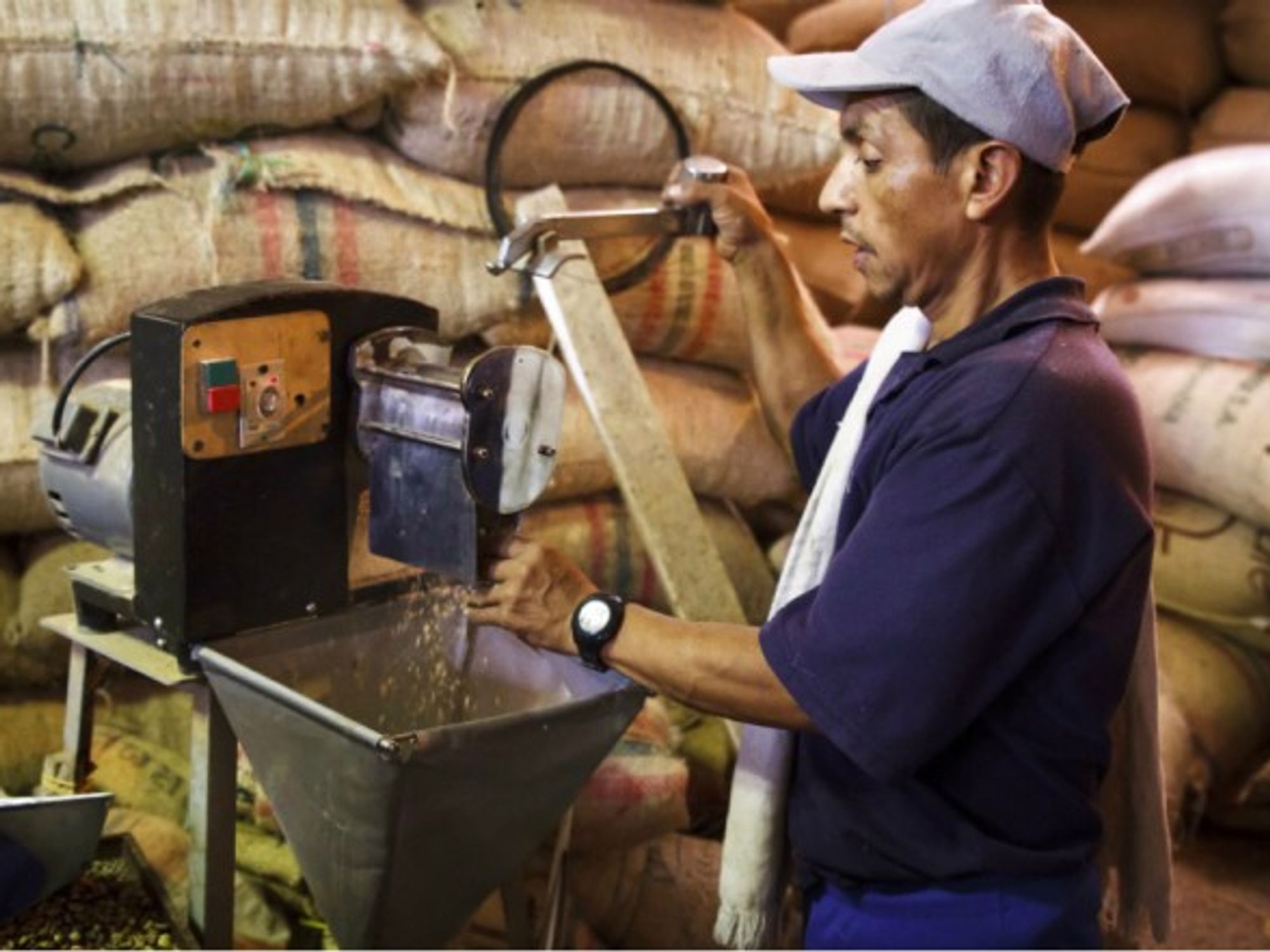 Farmer in process of drying and grinding coffee beans