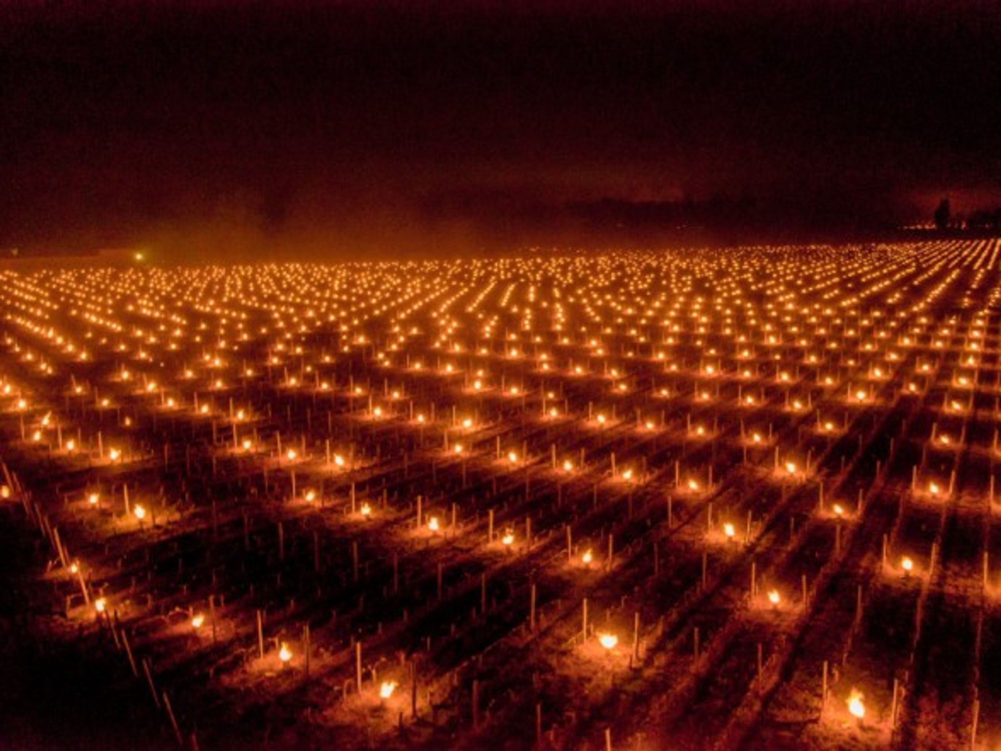 Farmers in France heat up their vineyards to protect them from the frost