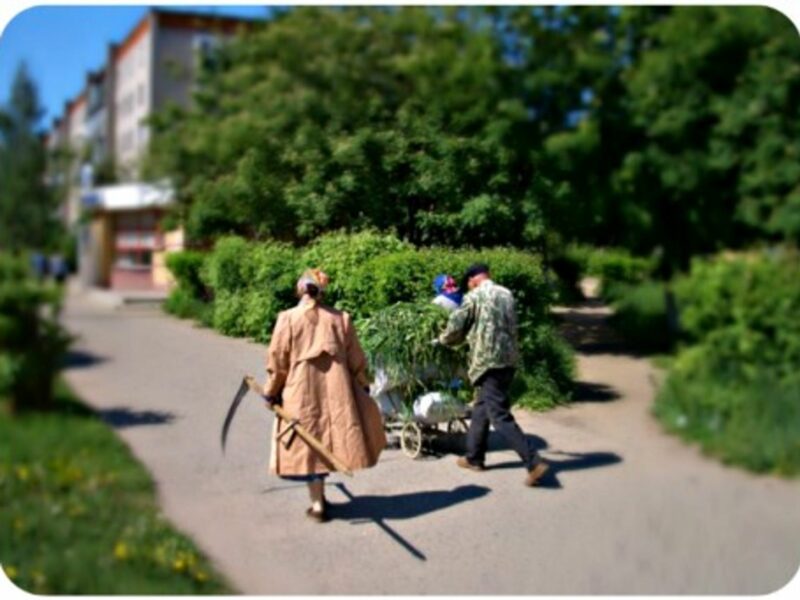 Farmers in Kstovo, western Russia