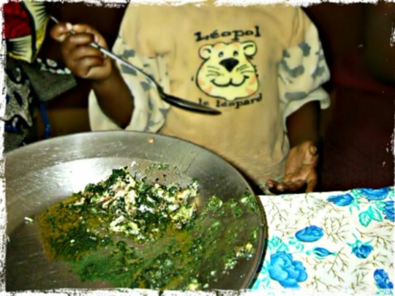 Feeding spirulina to the children of Bangui