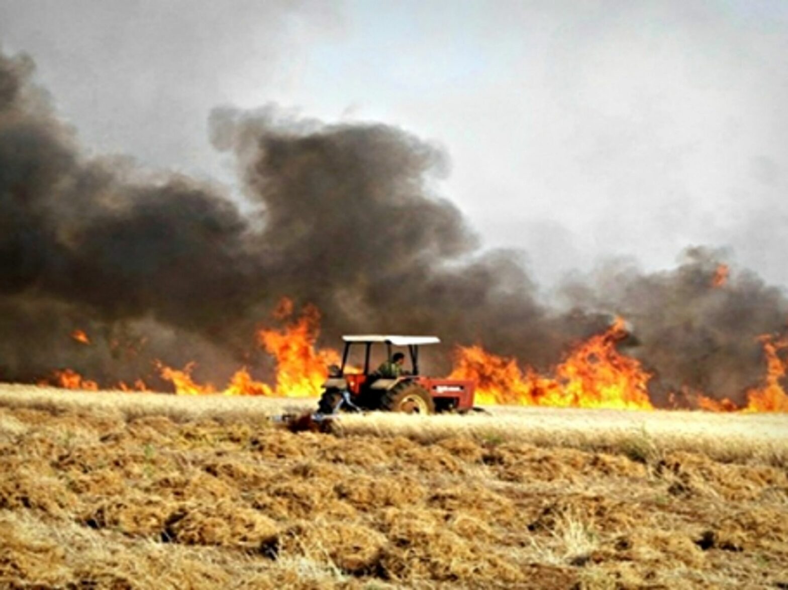 Field burning in Syria