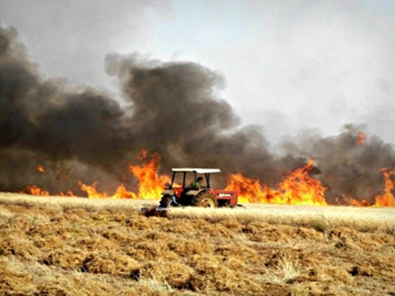 Field burning in Syria