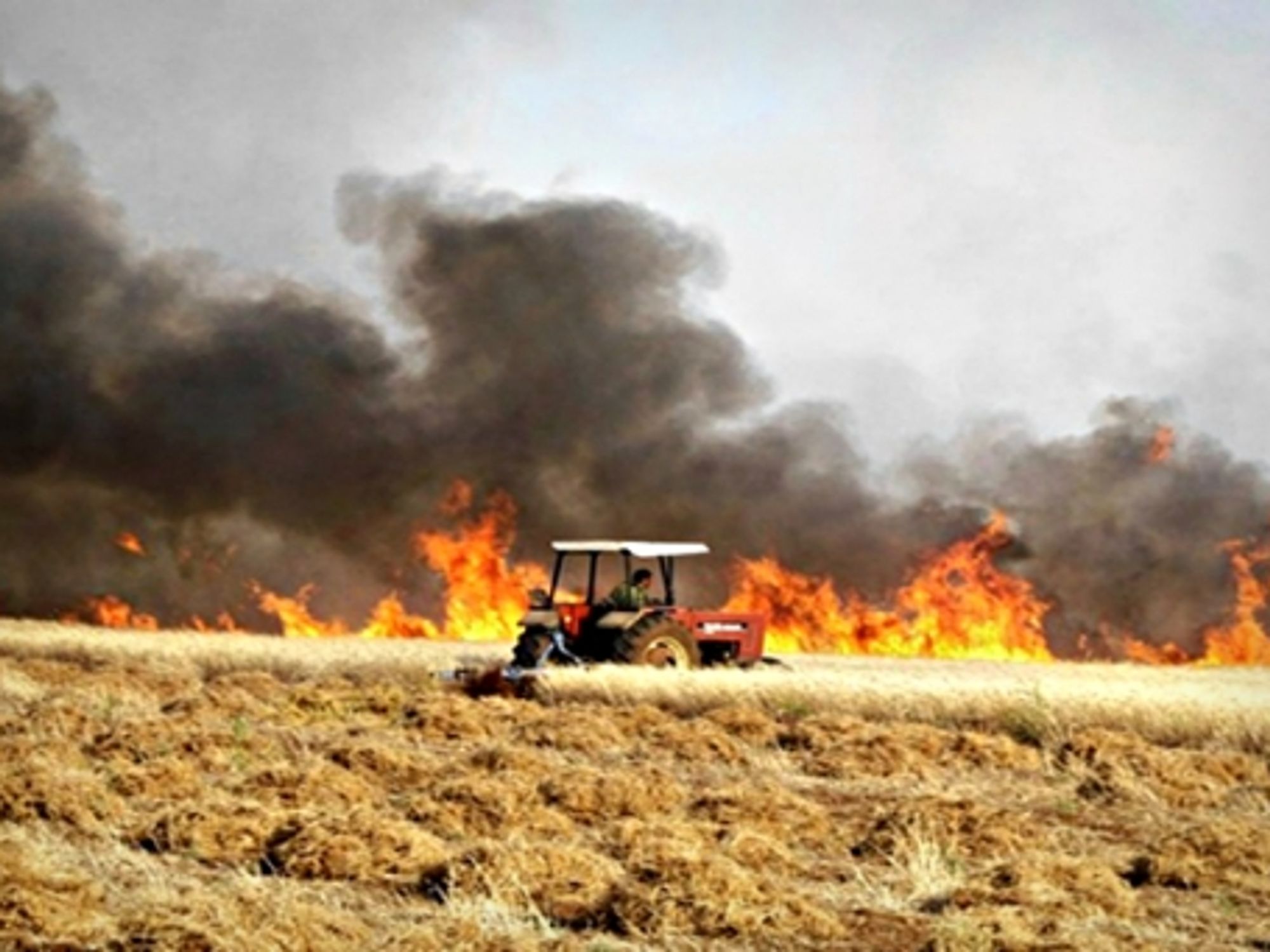Field burning in Syria