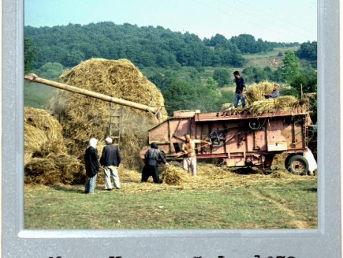 Fields Of Yore