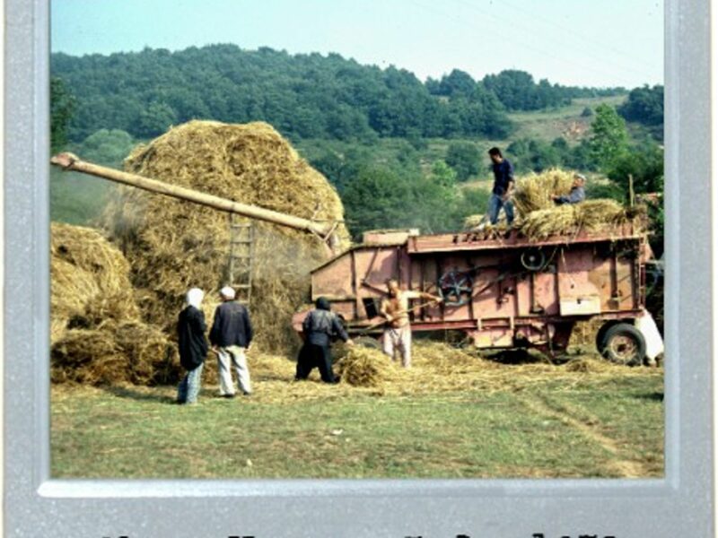 Fields Of Yore