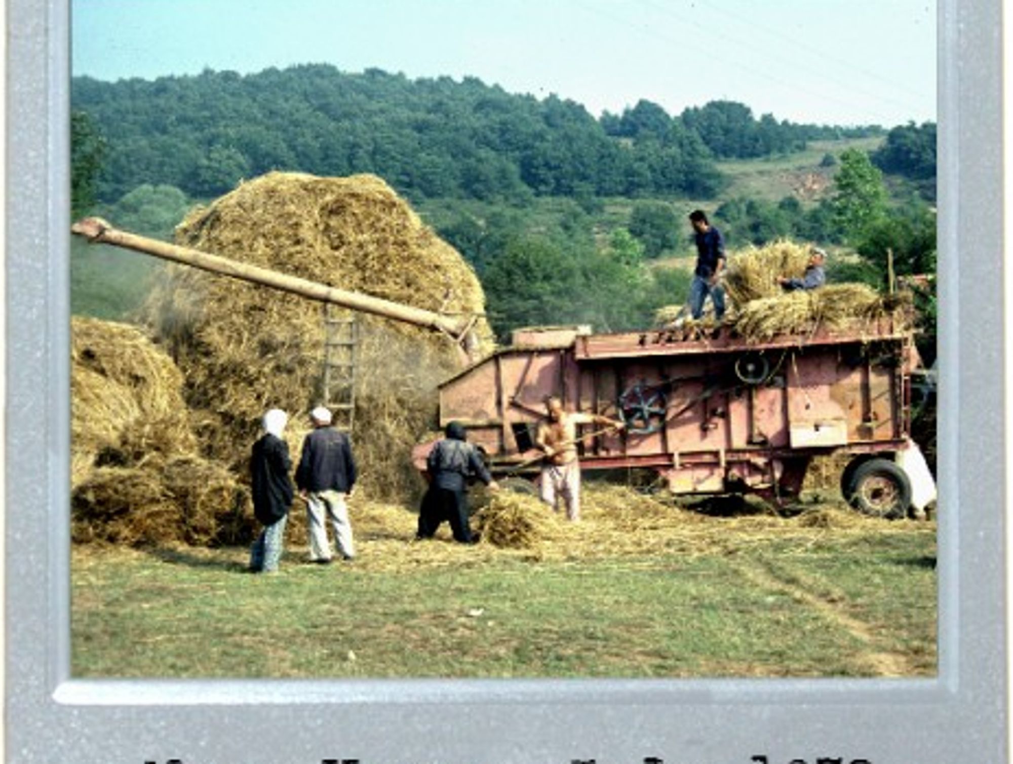 Fields Of Yore