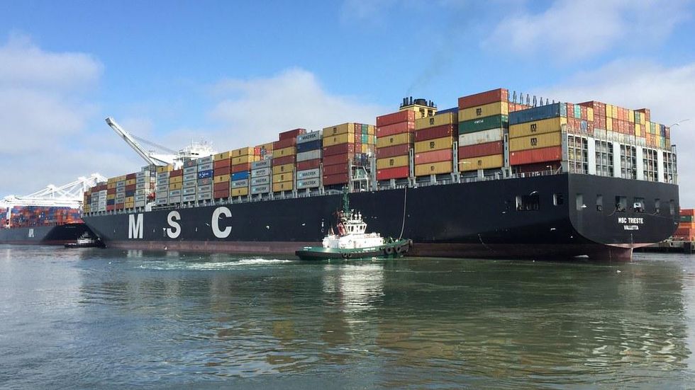 File Photo: MSC Trieste | Doug Letterman | Flickr