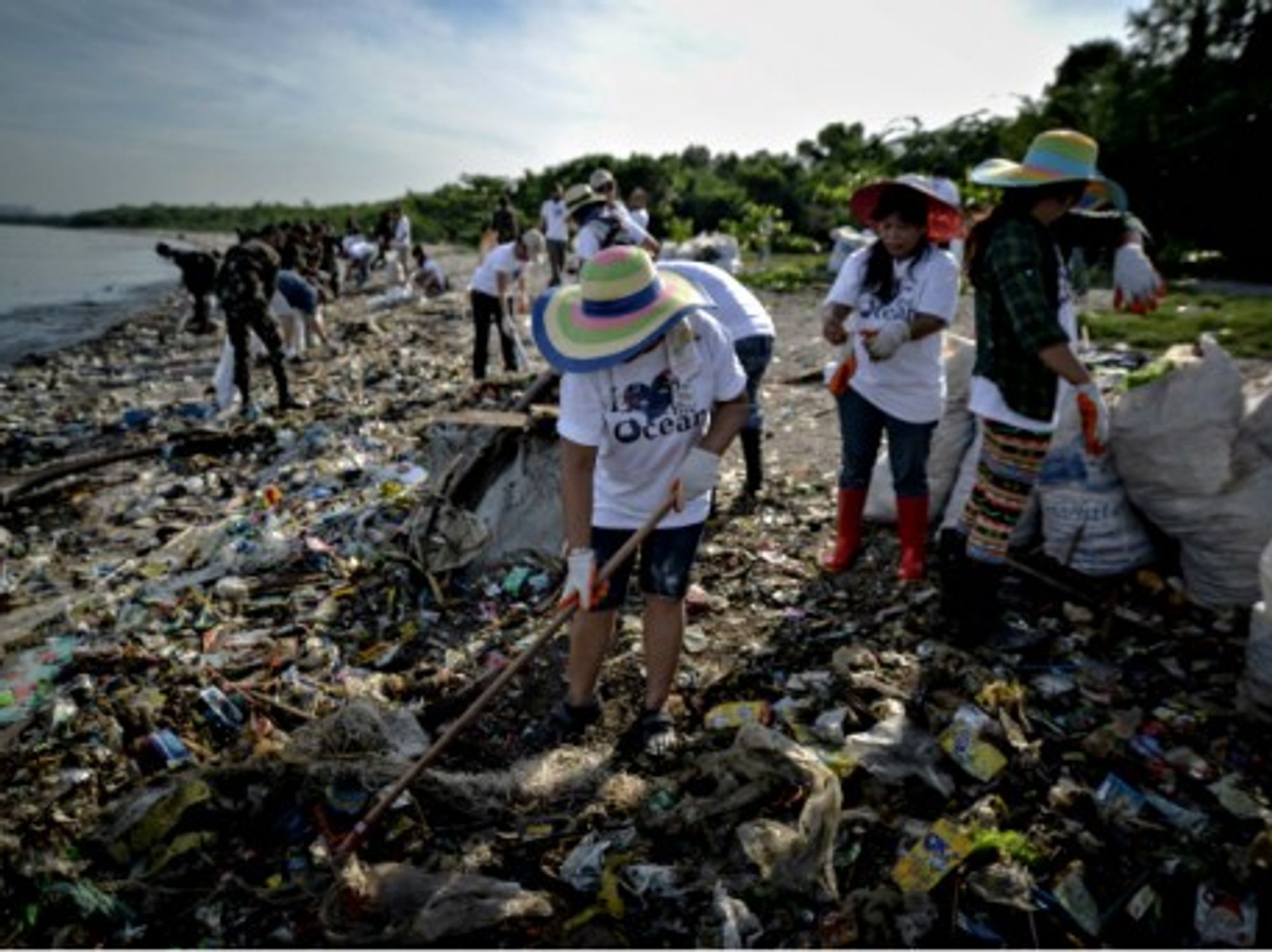 Filipinos clean up a beach on World Oceans Day in Paranaque