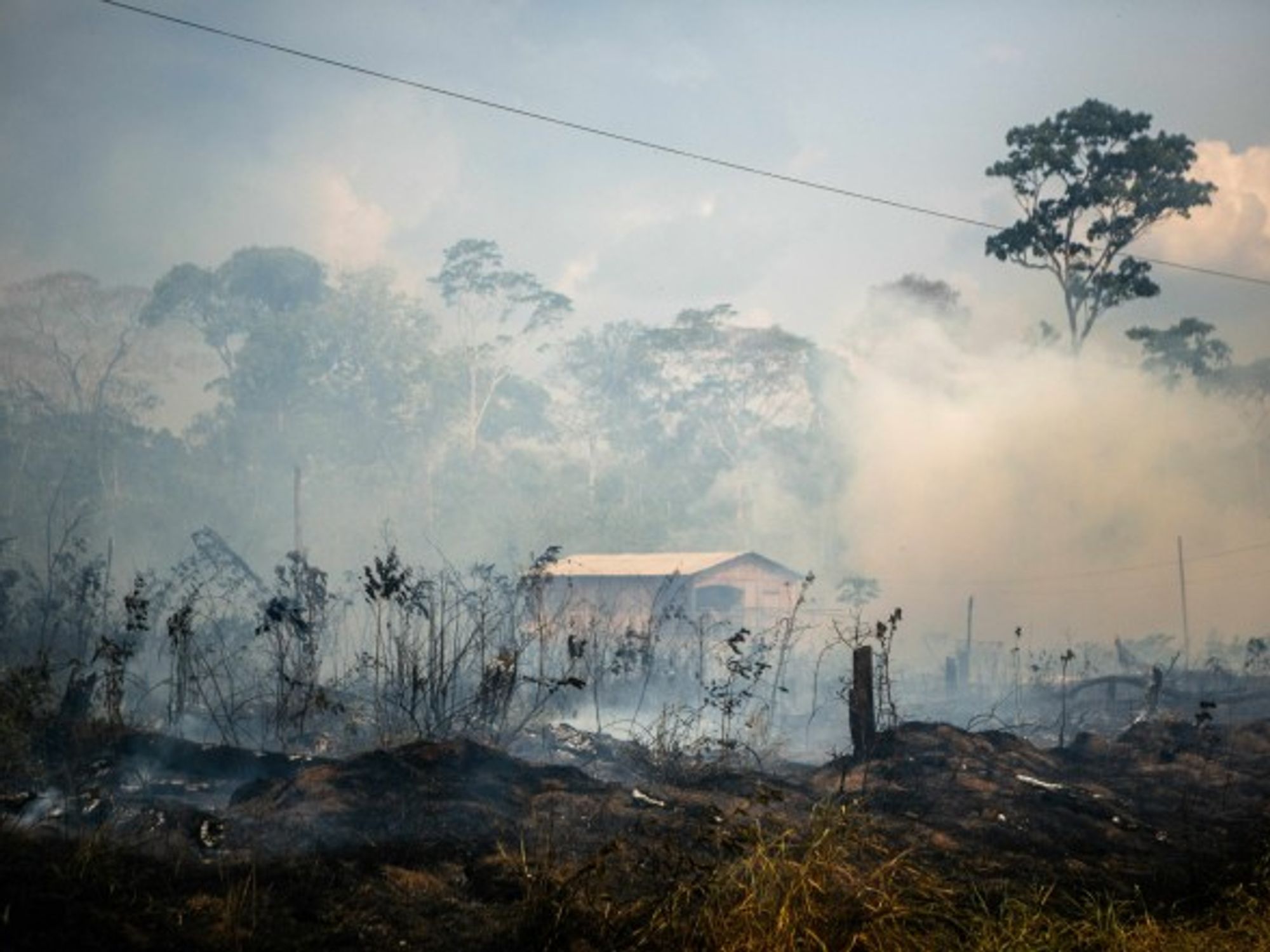 Fires in the state of Amazonia in Brazil.