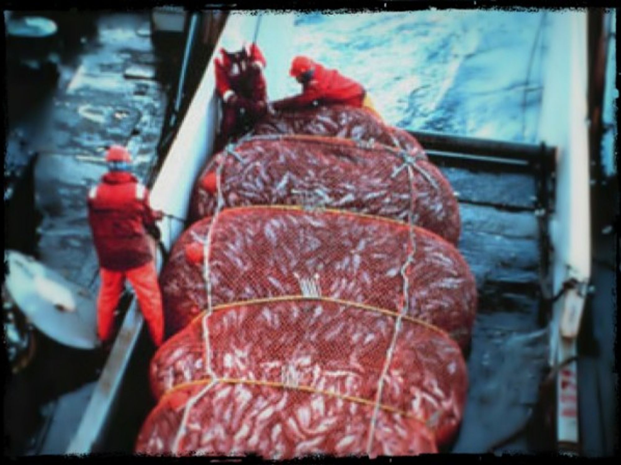 Fishing Alaskan pollock