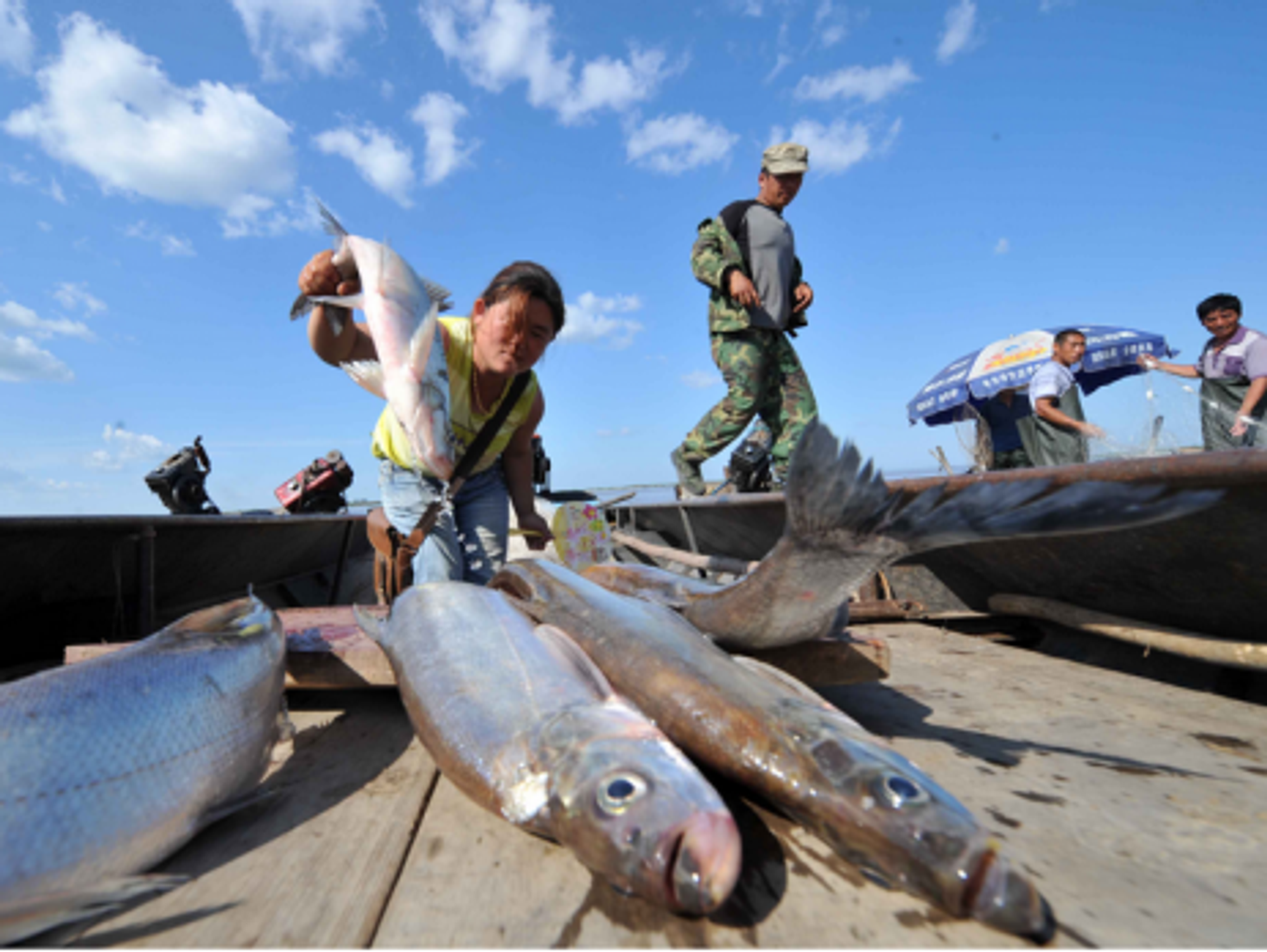 Fishing on the Chinese side of the Heixiazi Island, a border island that links China and Russia.