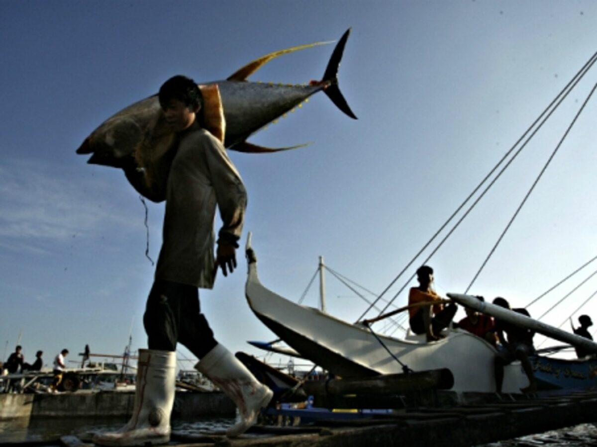 Fishing yellow fin tuna in General Santos City, Philippines