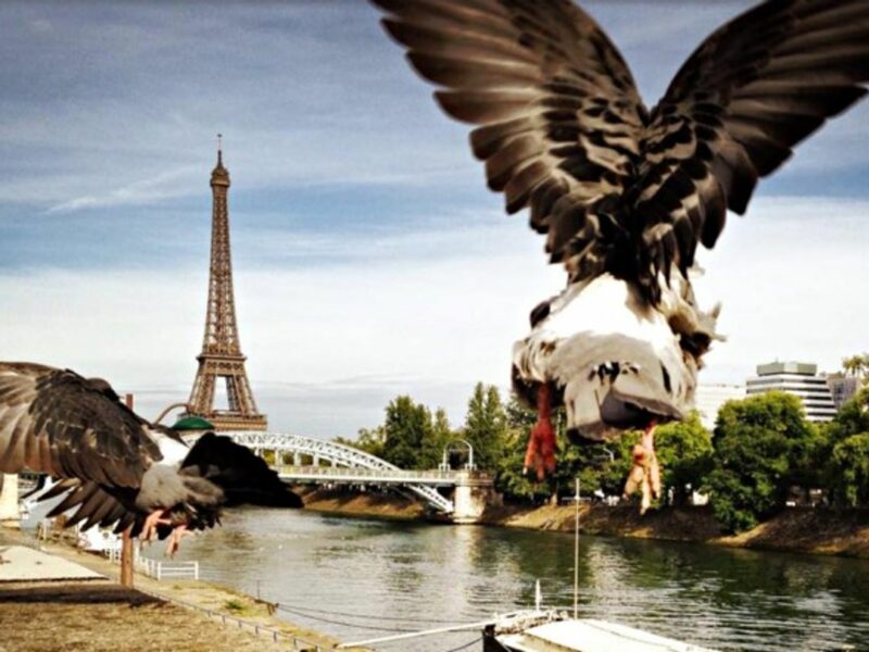 Flying away
