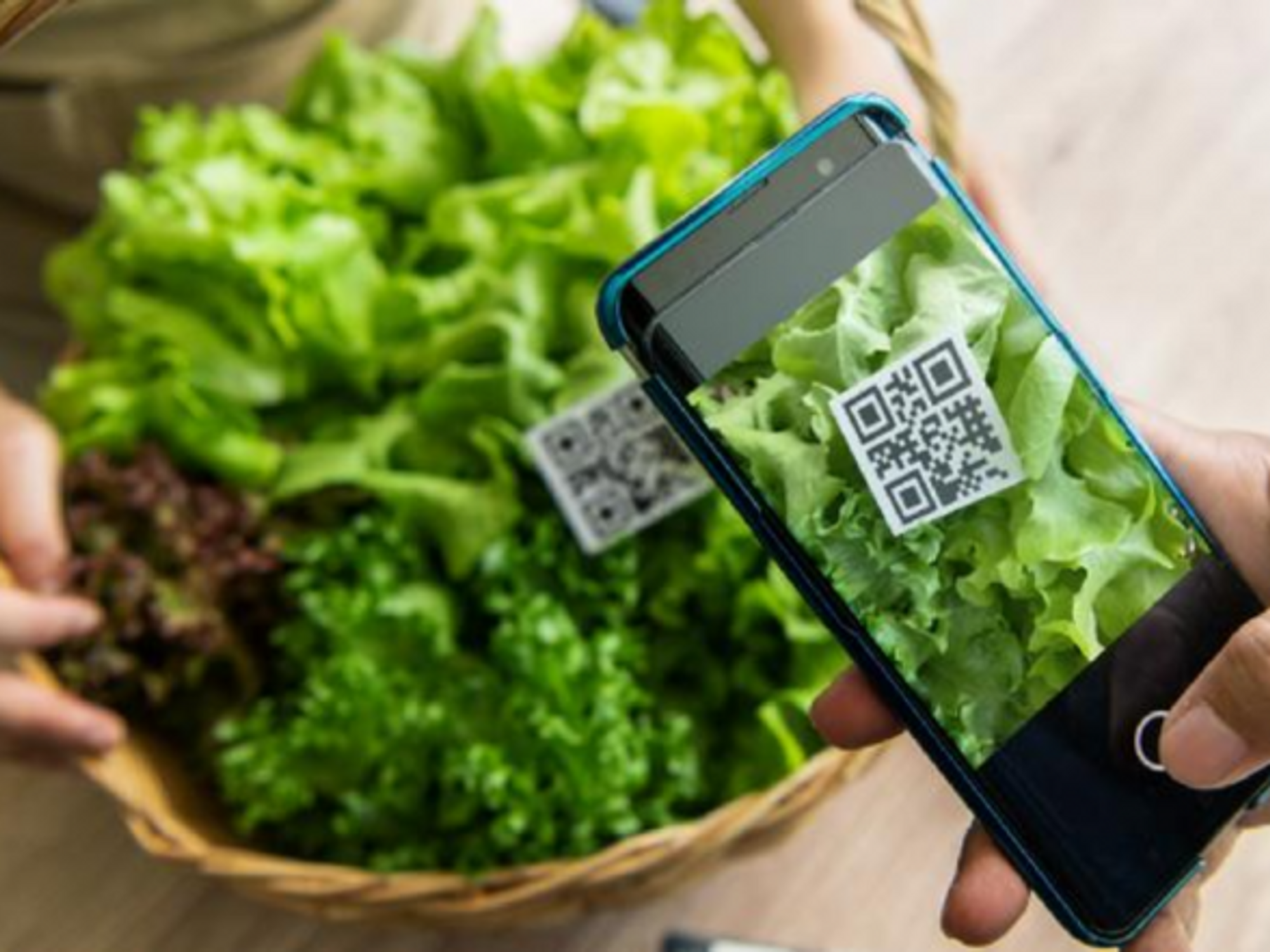 Food & The Digital Revolution: Plugging In To Return To Our Roots