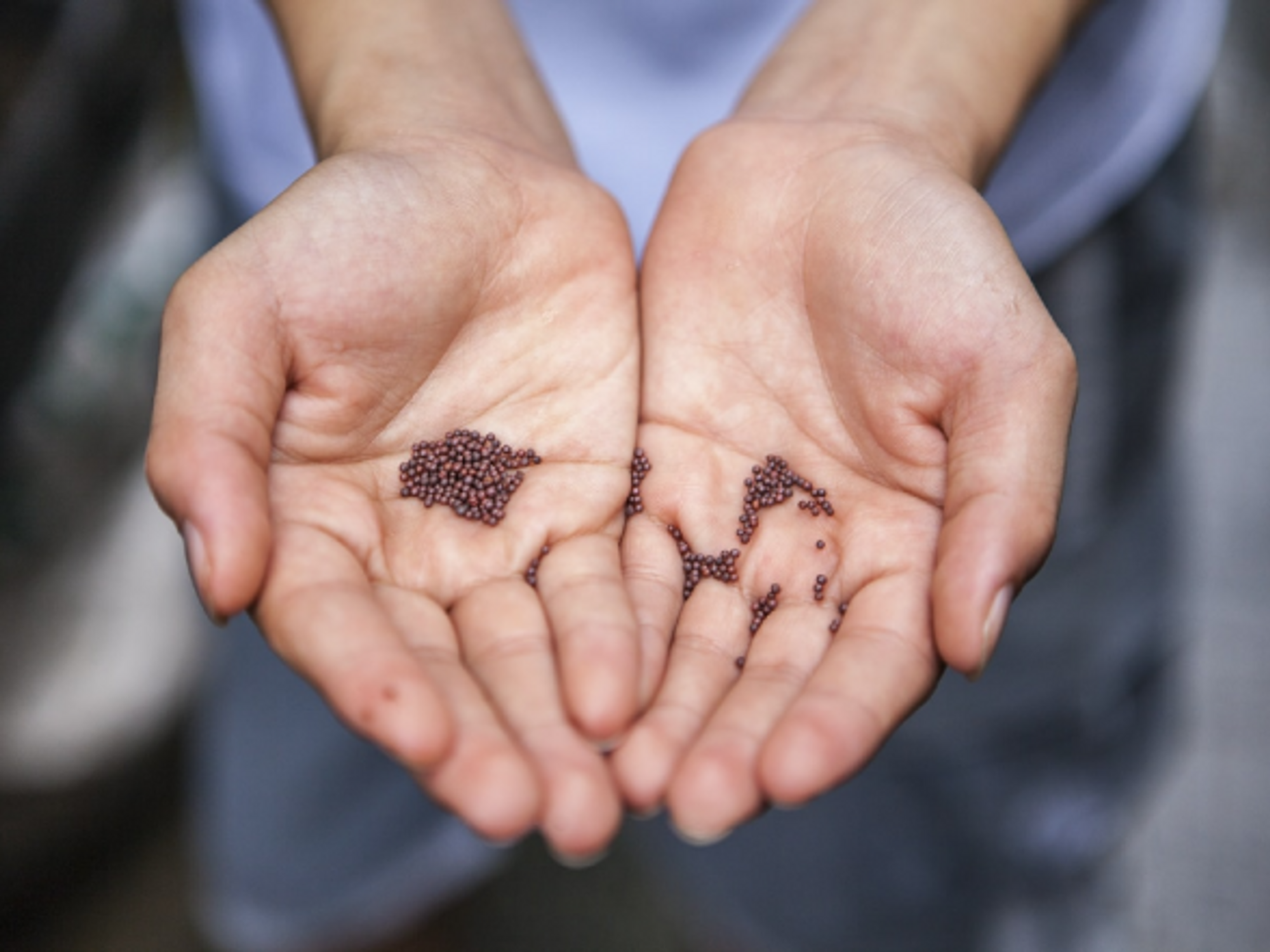 Food & The Production Revolution: What’s Driving A Shift To Sustainable