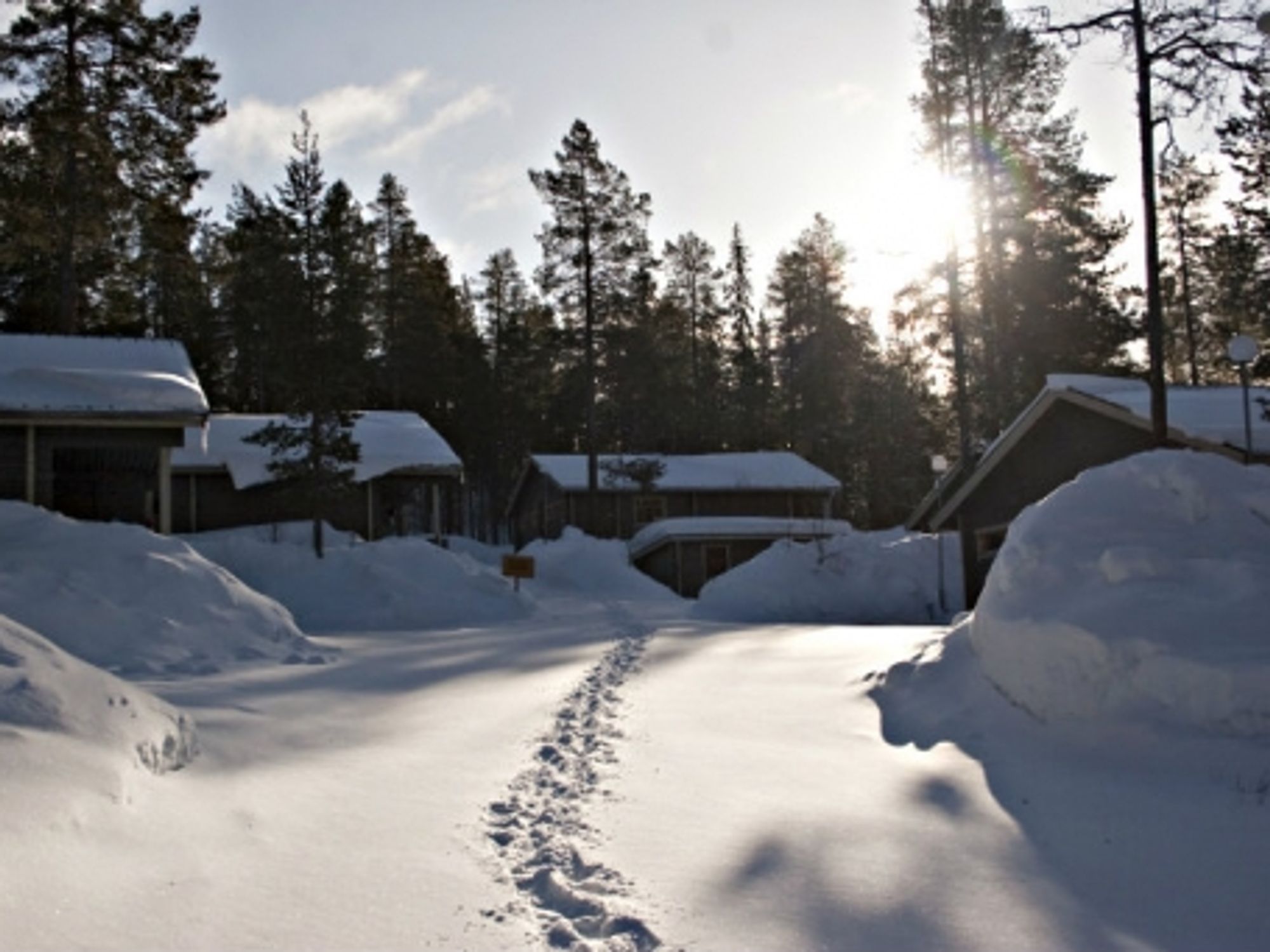 Footprints in Salla