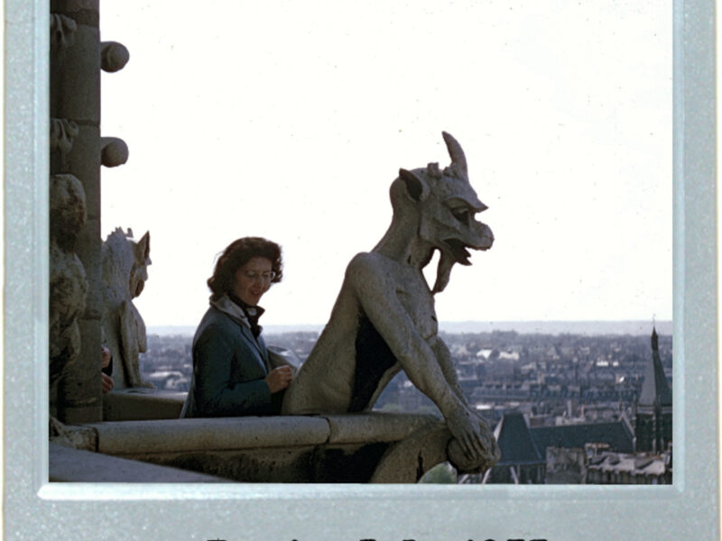 For Whom The Notre-Dame Bell Tolls